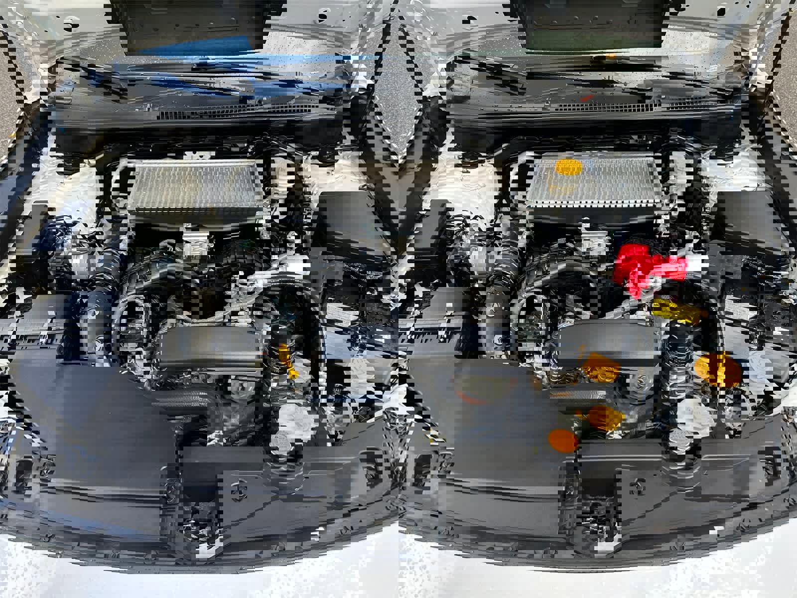 Used 2023 Subaru WRX image 6