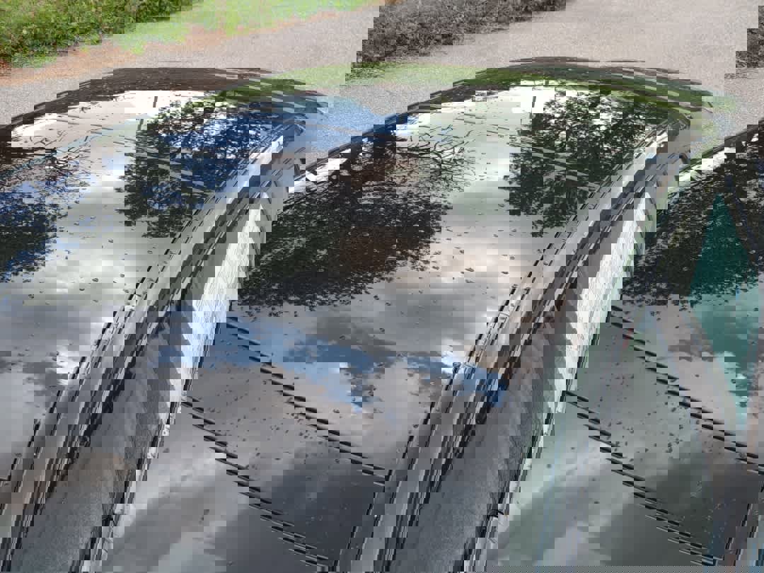 Used 2026 BMW 840i xDrive image 8