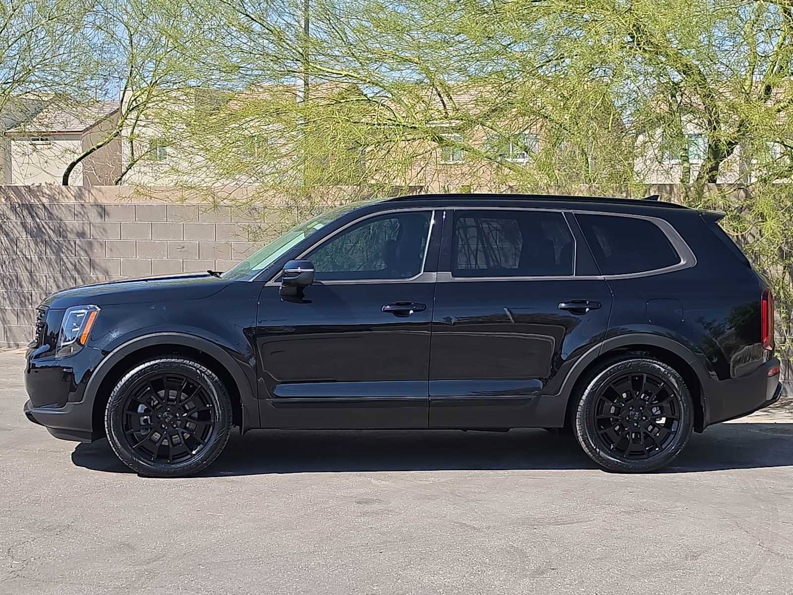 Used 2021 Kia Telluride EX w/ EX Premium Package image 6