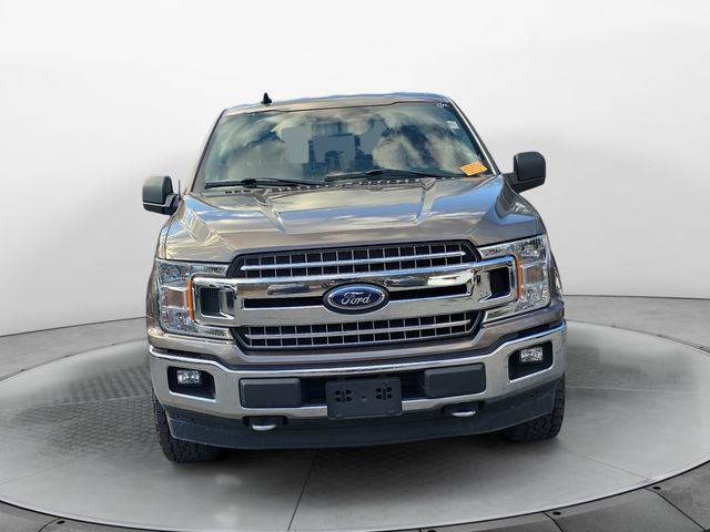 Used 2019 Ford F150 XLT w/ Equipment Group 302A Luxury image 8