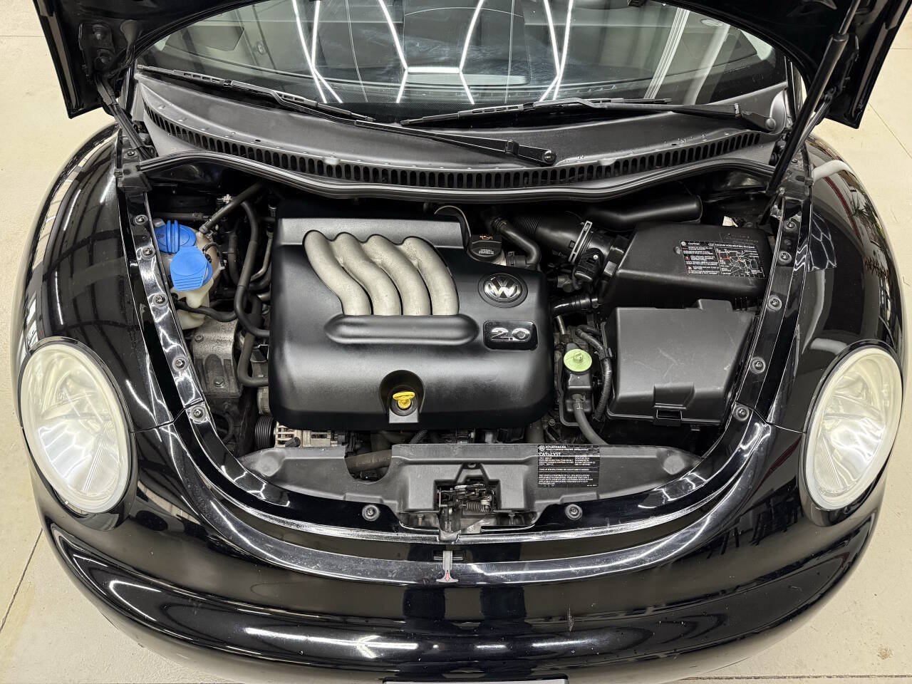 Used 2005 Volkswagen Beetle GLS FWD image 7