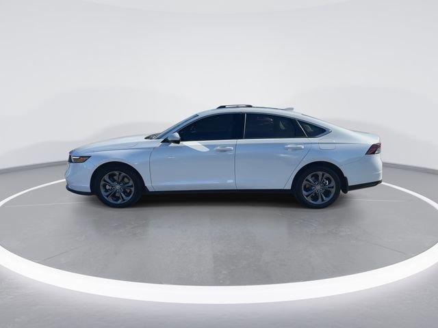 Used 2025 Honda Accord EX-L image 5