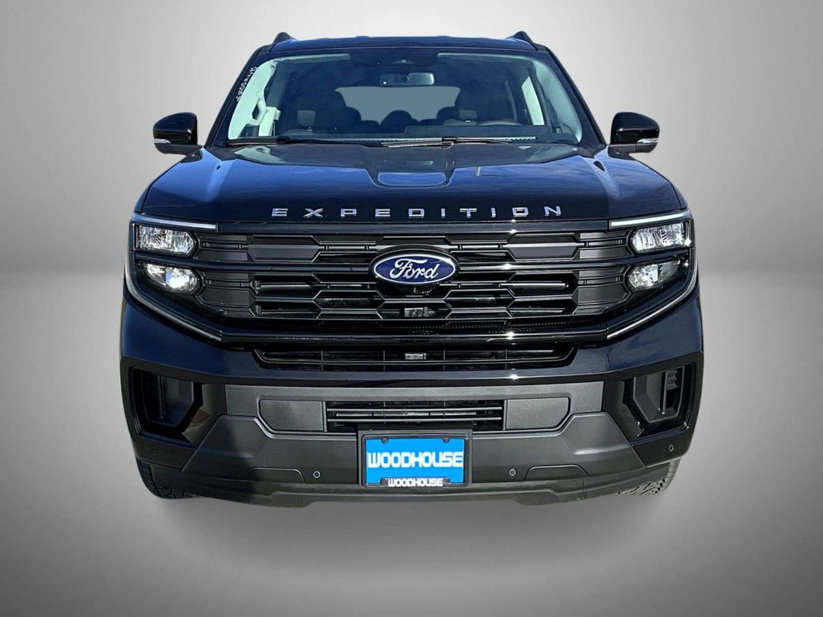 New 2026 Ford Expedition Active image 2