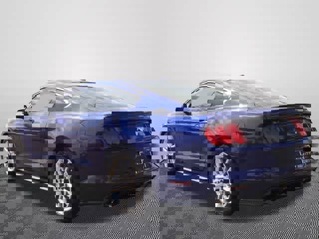 Used 2016 Ford Mustang Premium w/ Equipment Group 201A image 2