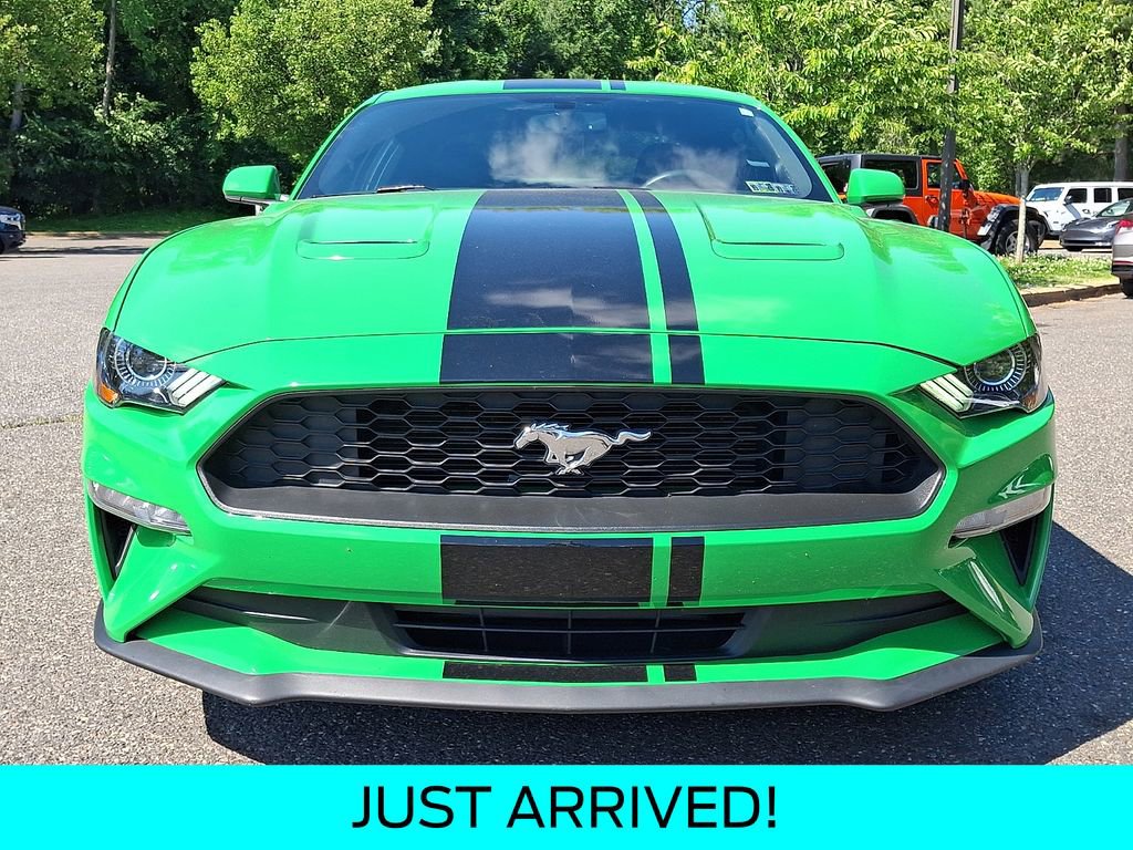 Used 2019 Ford Mustang Coupe w/ Ecoboost Performance Package RWD image 2
