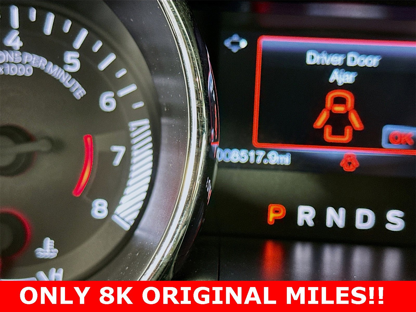 Used 2015 Ford Mustang 50 Years image 14