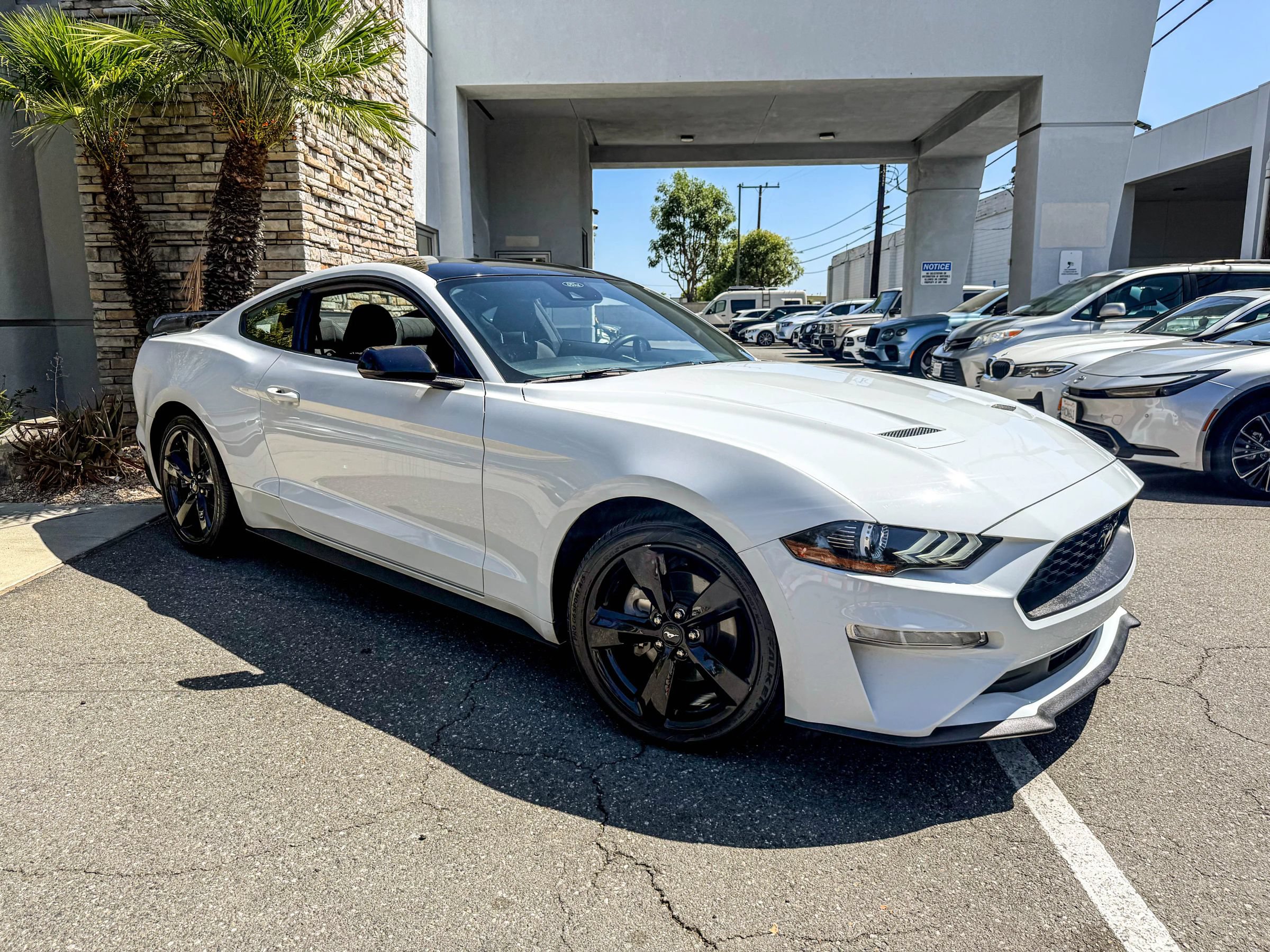 Used 2021 Ford Mustang Coupe w/ Equipment Group 101A