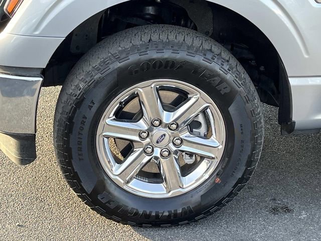Used 2025 Ford F150 XLT w/ Equipment Group 301A Standard AWD/4WD image 12