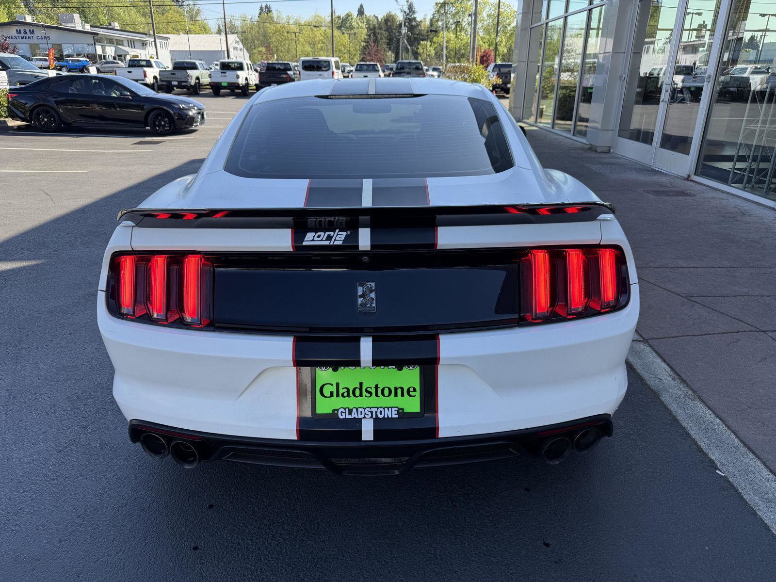 Used 2016 Ford Mustang Shelby GT350 w/ Track Package RWD image 4