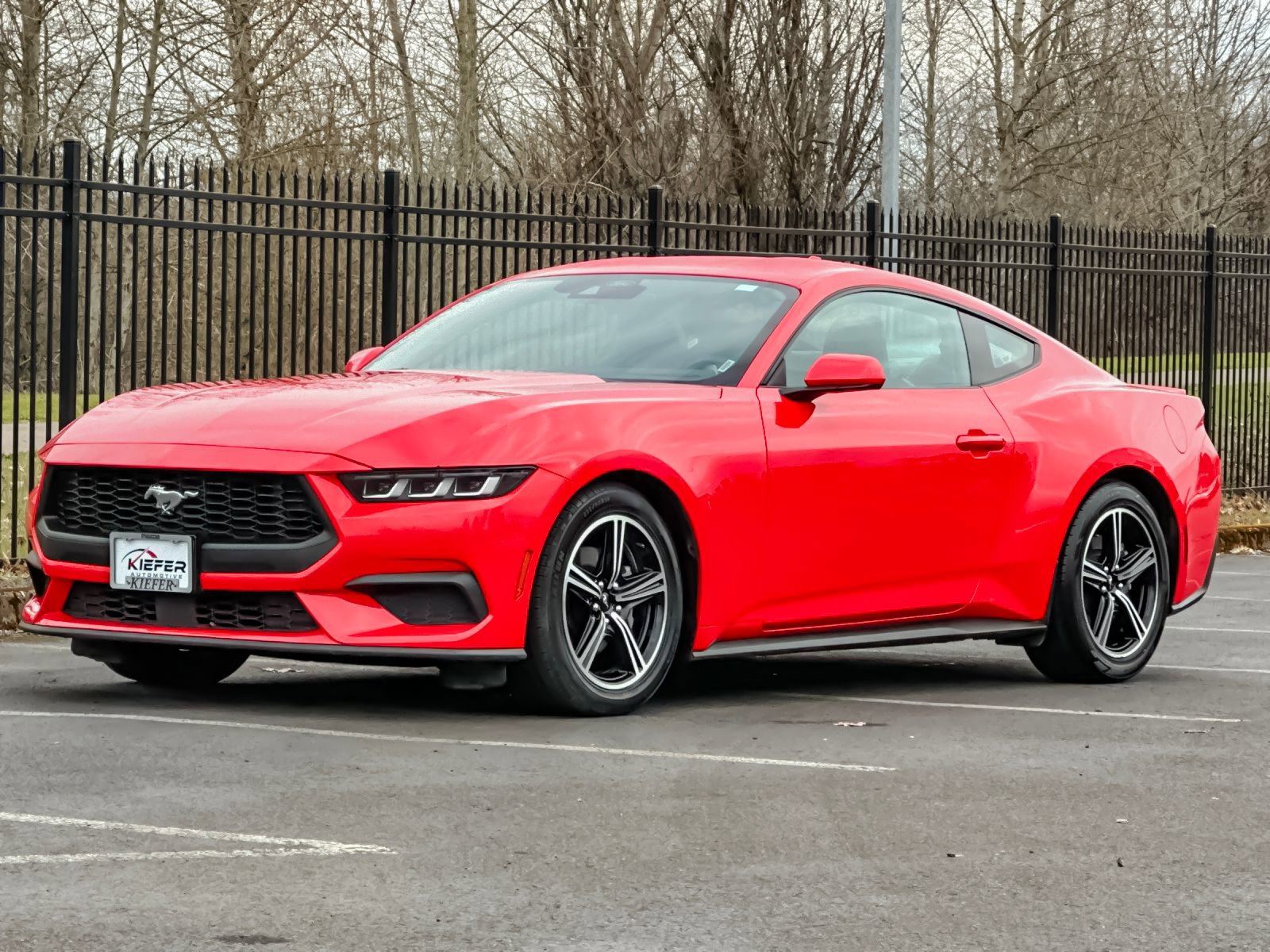 Used 2024 Ford Mustang Premium image 7