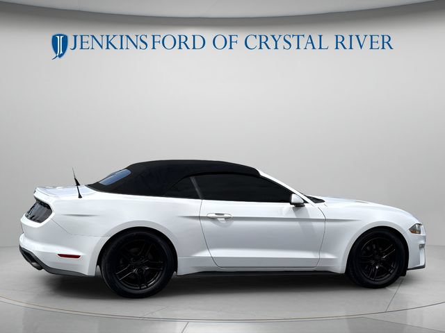 Used 2021 Ford Mustang Premium RWD image 3