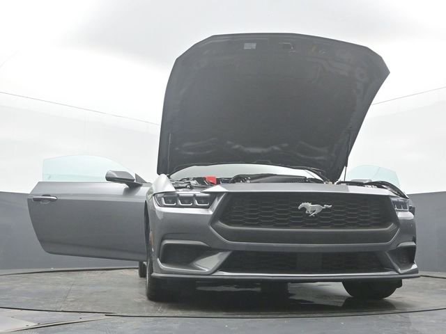 Used 2024 Ford Mustang Premium RWD image 52