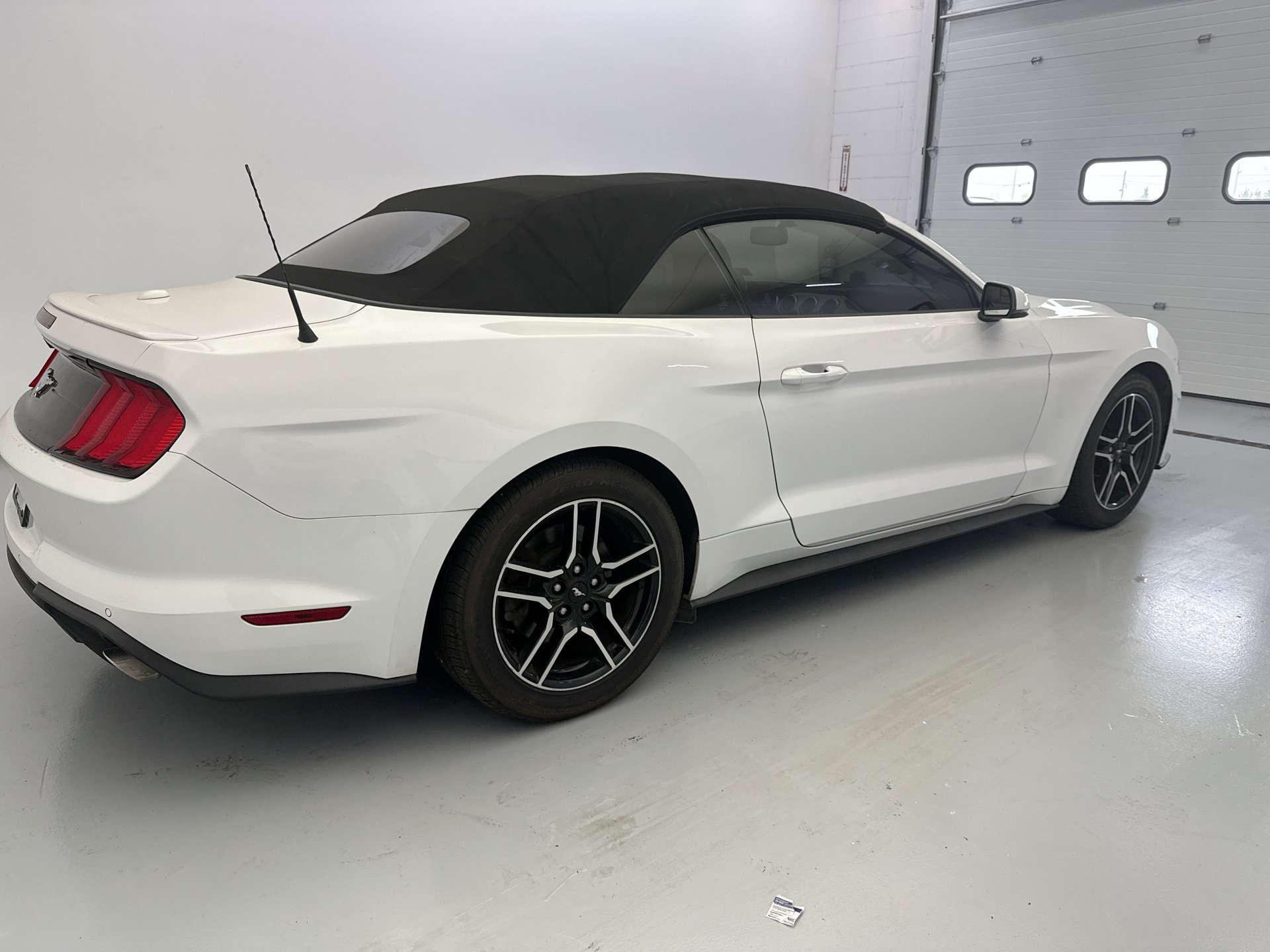 Used 2019 Ford Mustang Premium RWD image 5