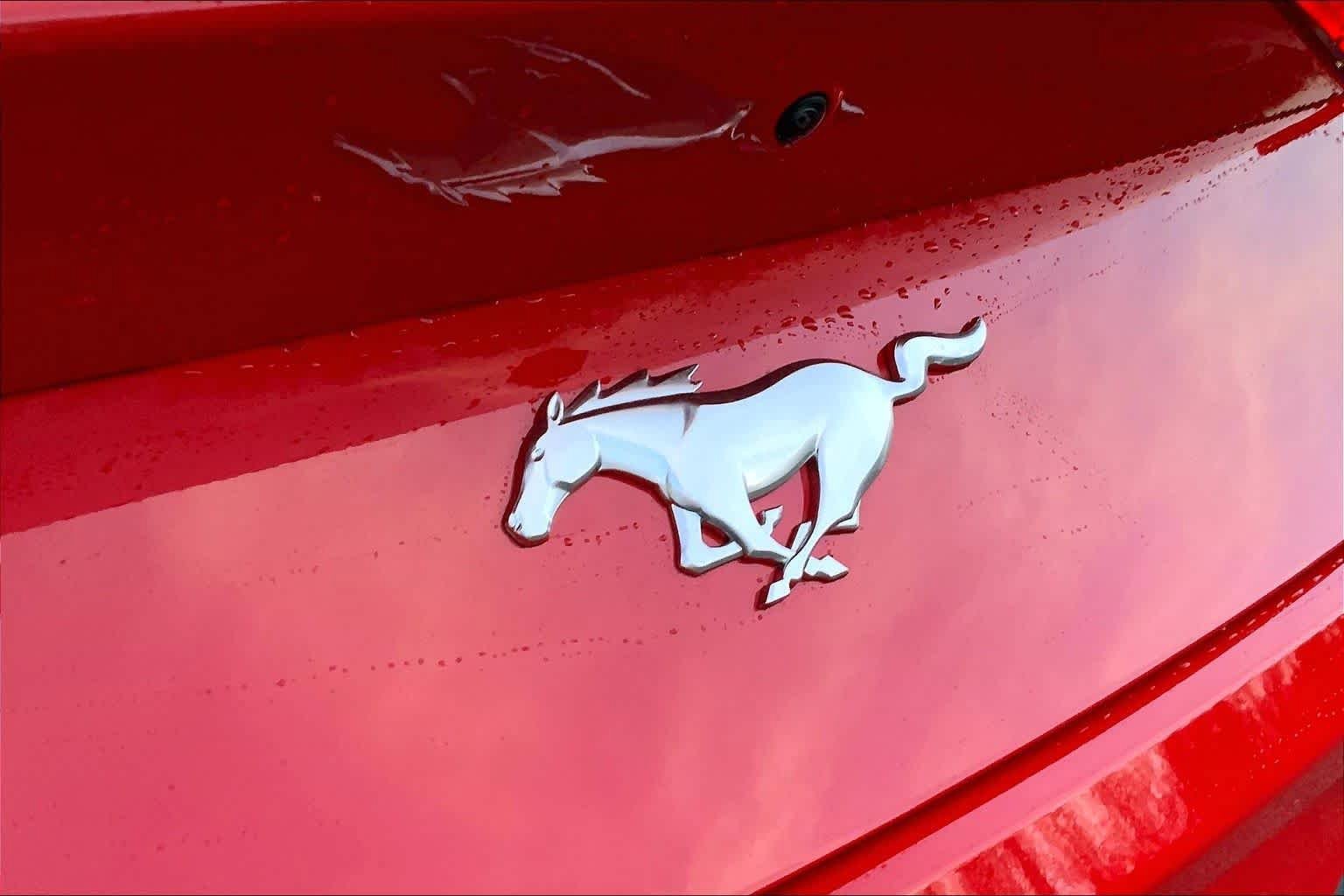New 2026 Ford Mustang Coupe image 14