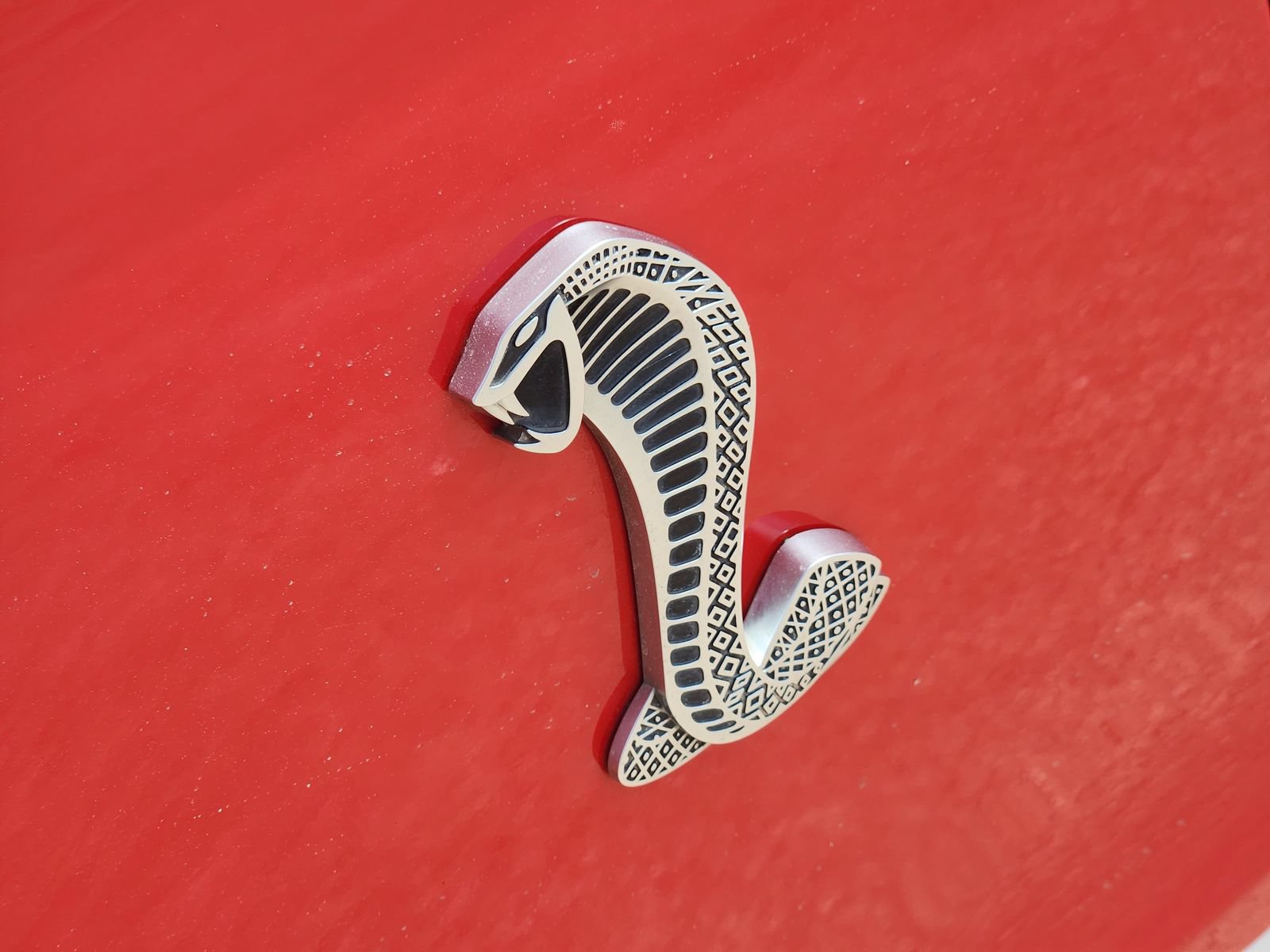 Used 2010 Ford Mustang Shelby GT500 RWD image 16