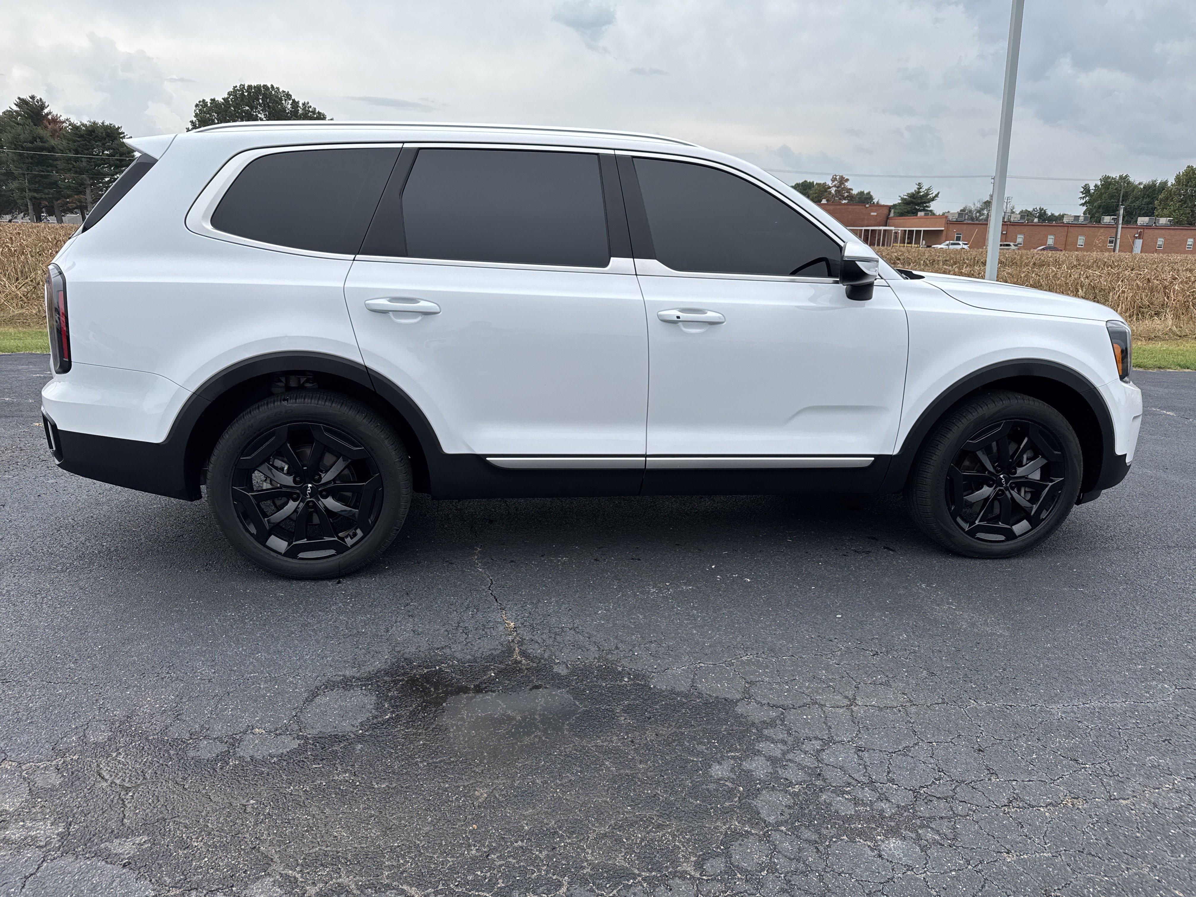 Used 2024 Kia Telluride EX w/ EX Captain's Chair Package image 6