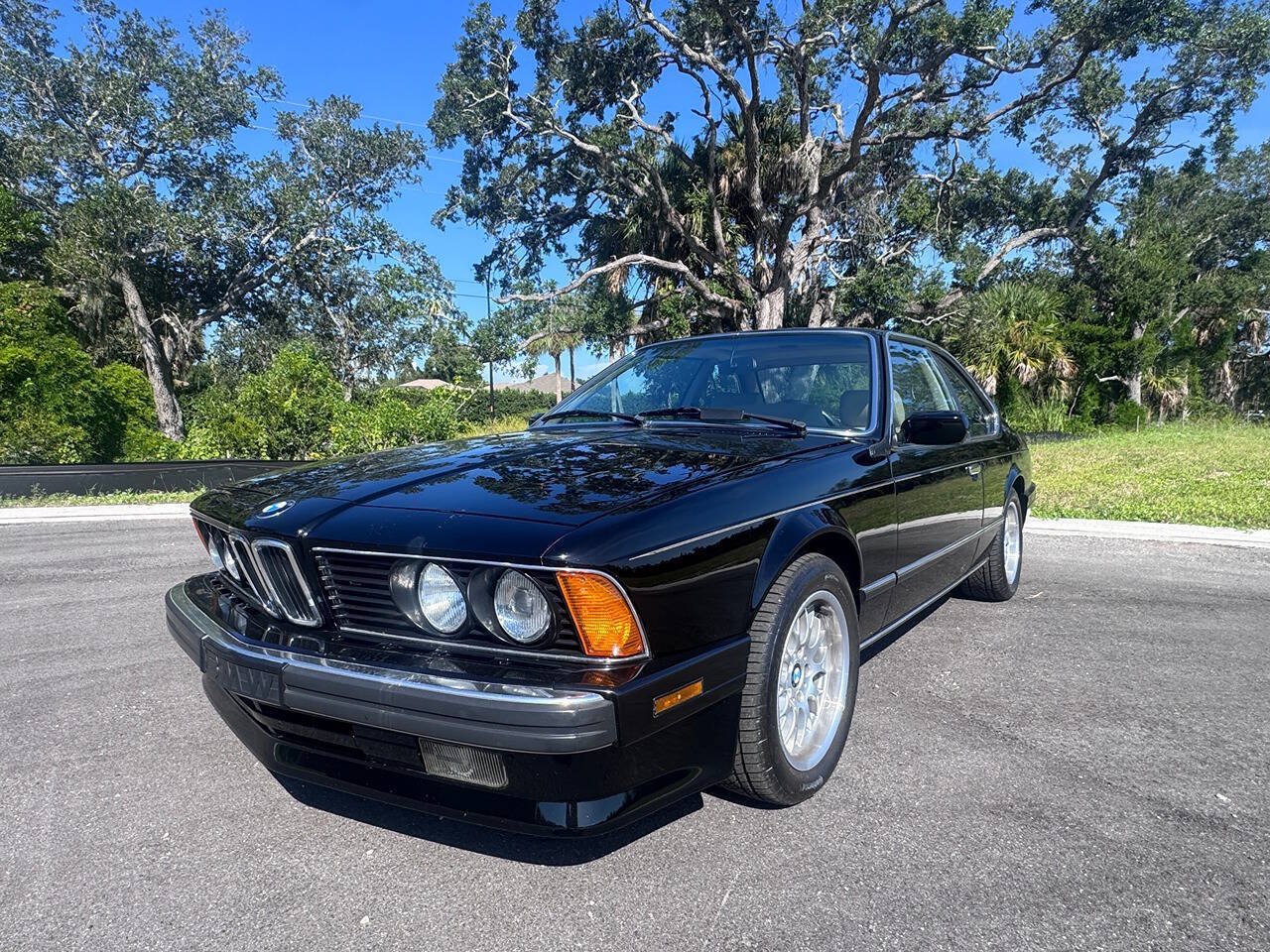 Used 1988 BMW 635CSi Coupe RWD image 10