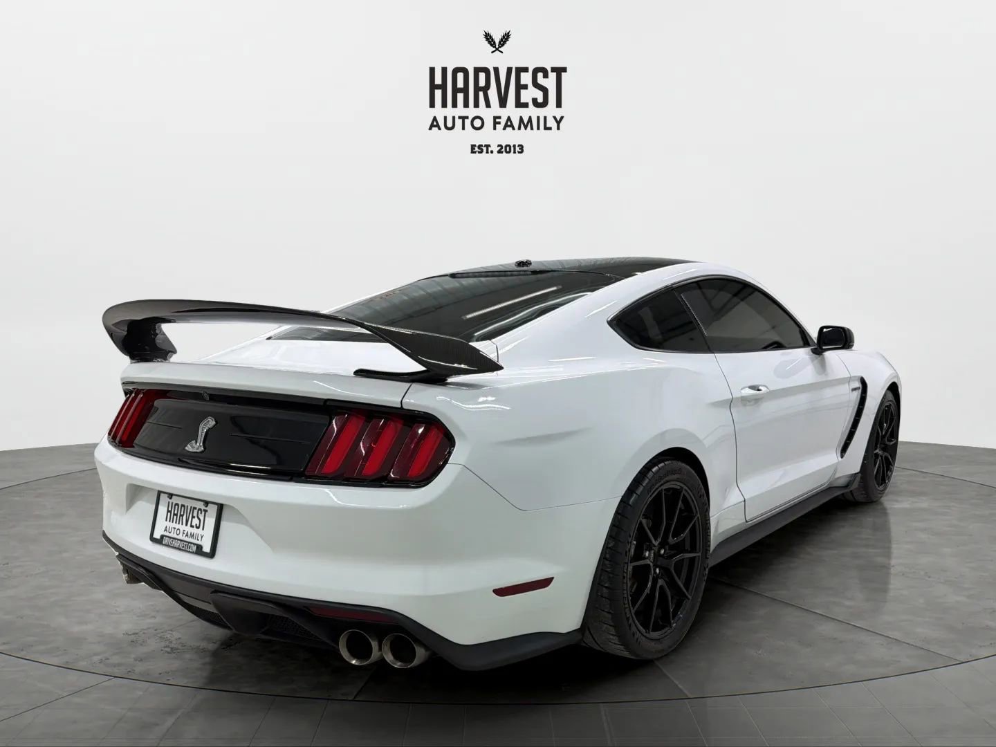 Used 2019 Ford Mustang Shelby GT350 w/ Technology Package image 6