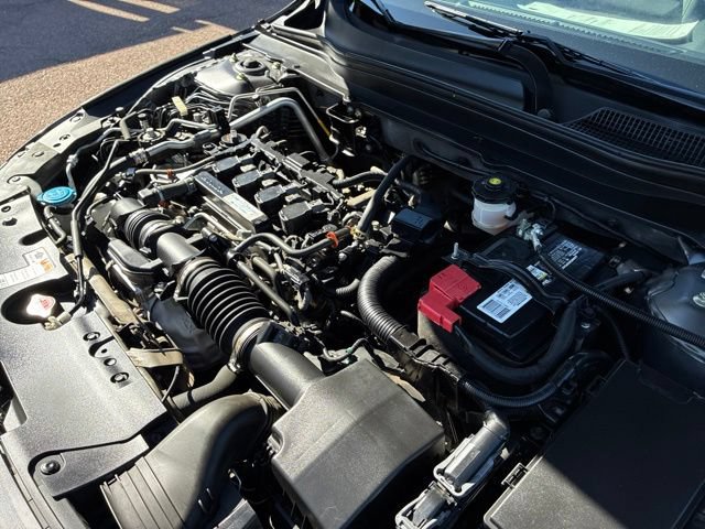 Used 2019 Honda Accord EX image 12