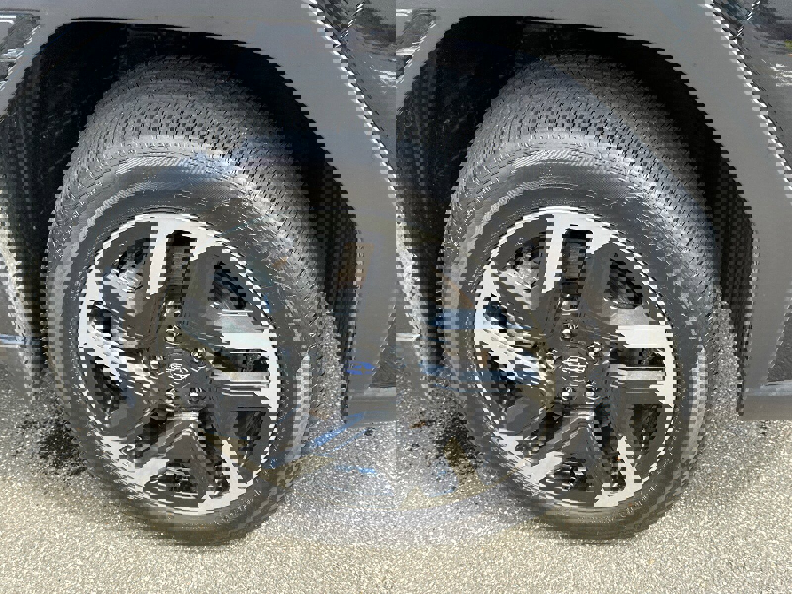 Certified 2025 Subaru Forester Limited image 7