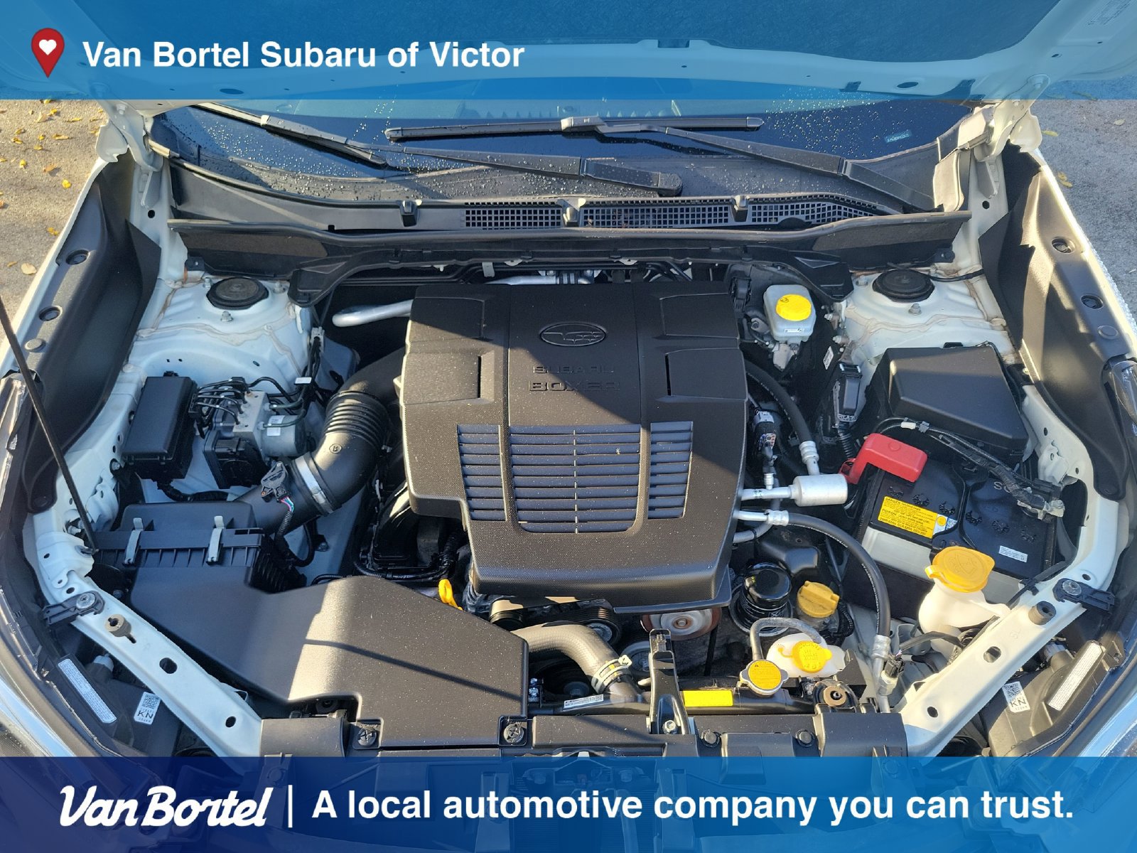 Certified 2023 Subaru Forester Limited AWD/4WD image 11