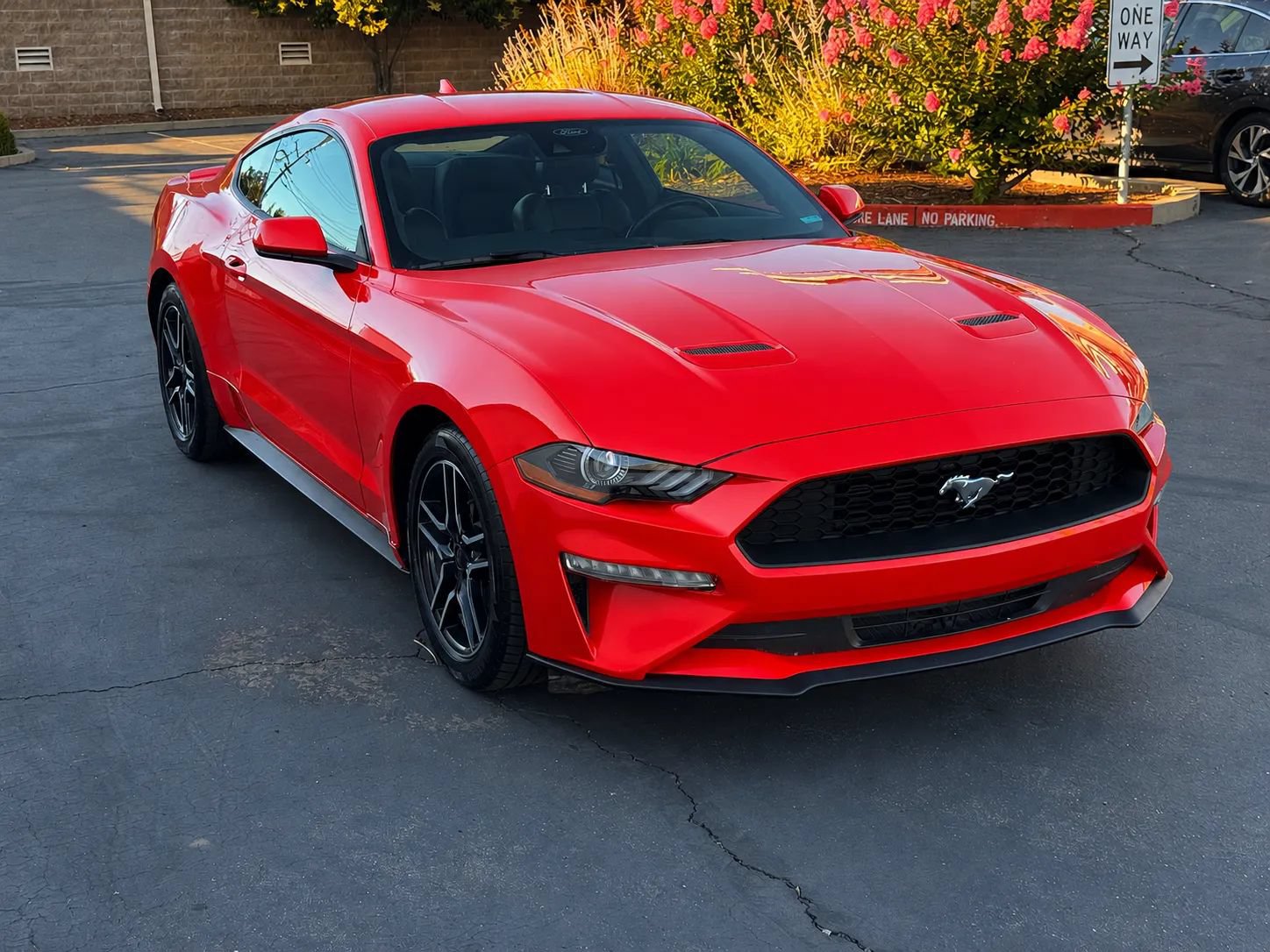 Used 2023 Ford Mustang Premium RWD image 8