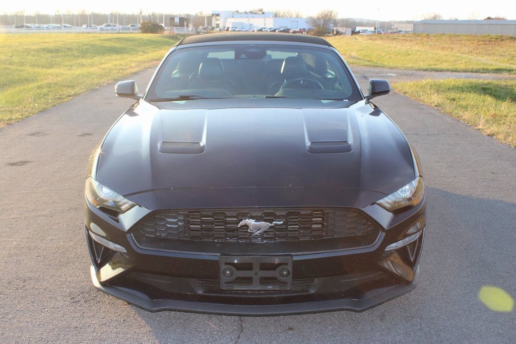 Used 2023 Ford Mustang Premium image 2