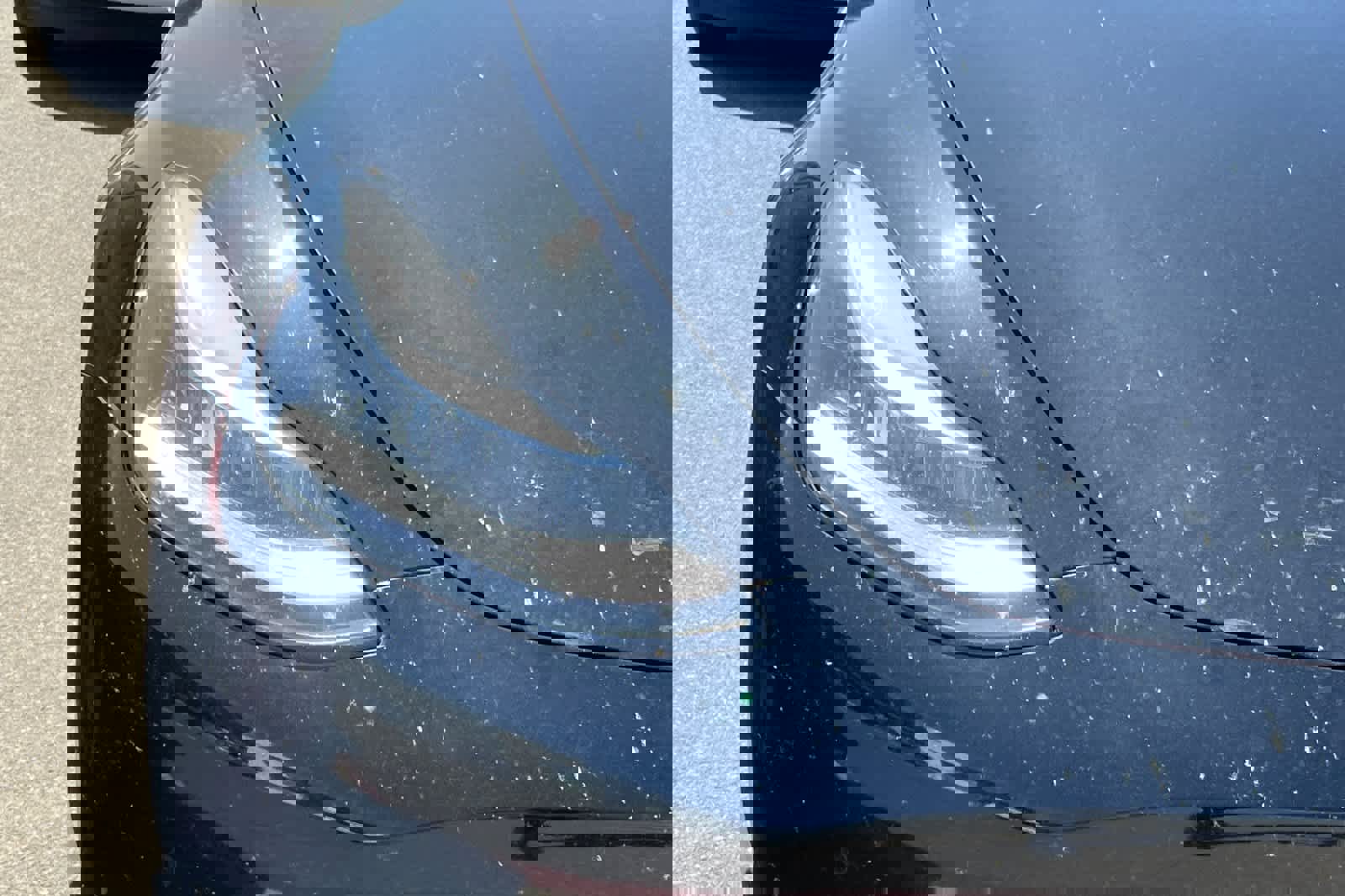 Used 2020 Tesla Model Y Performance image 14