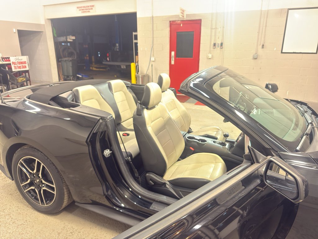 Used 2019 Ford Mustang Premium image 30