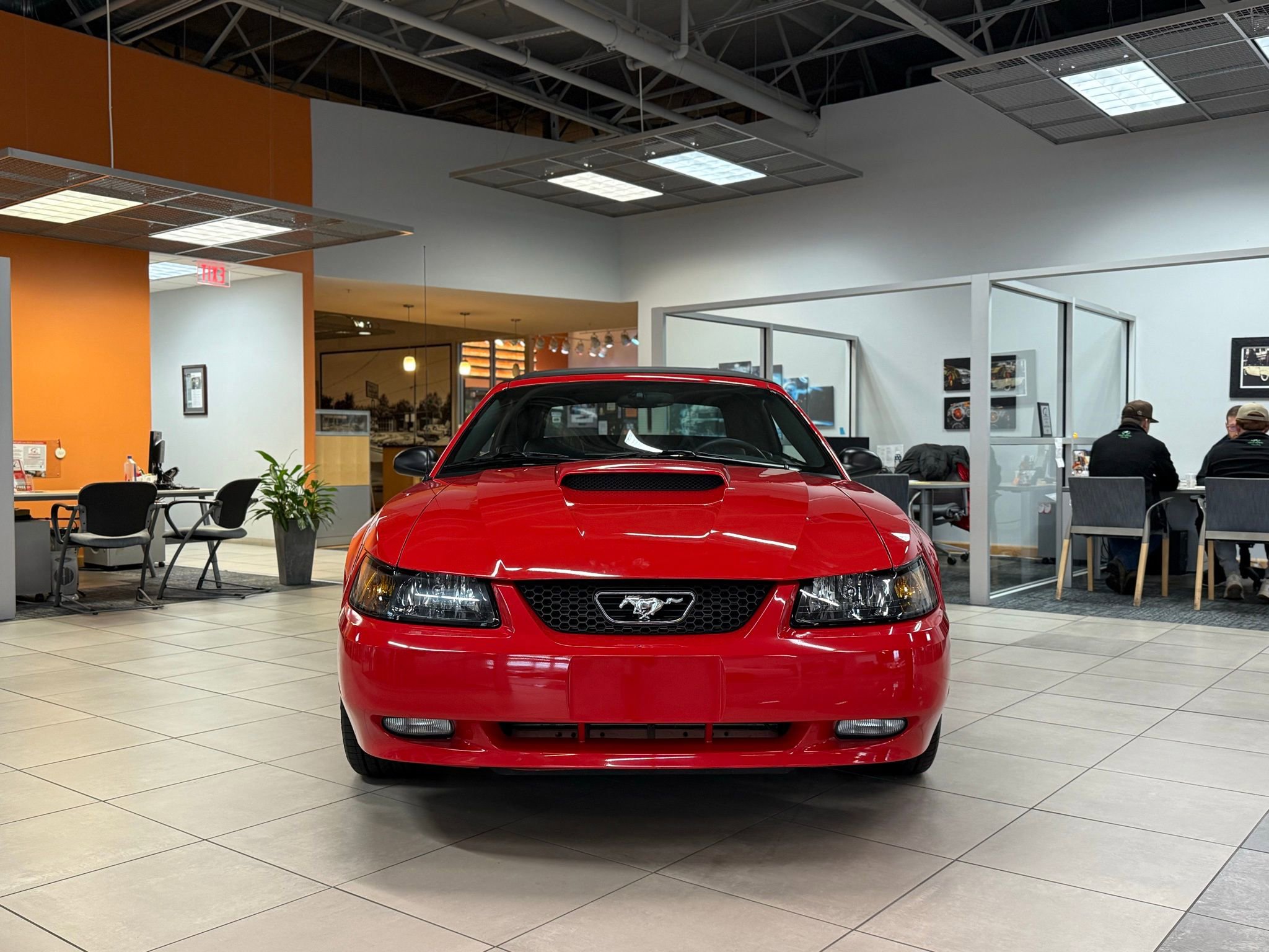 Used 2002 Ford Mustang GT image 6