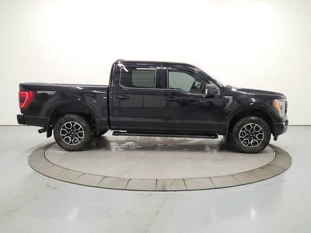 Used 2023 Ford F150 XLT w/ Equipment Group 302A High AWD/4WD image 8
