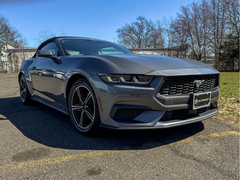 Used 2024 Ford Mustang Premium RWD image 3