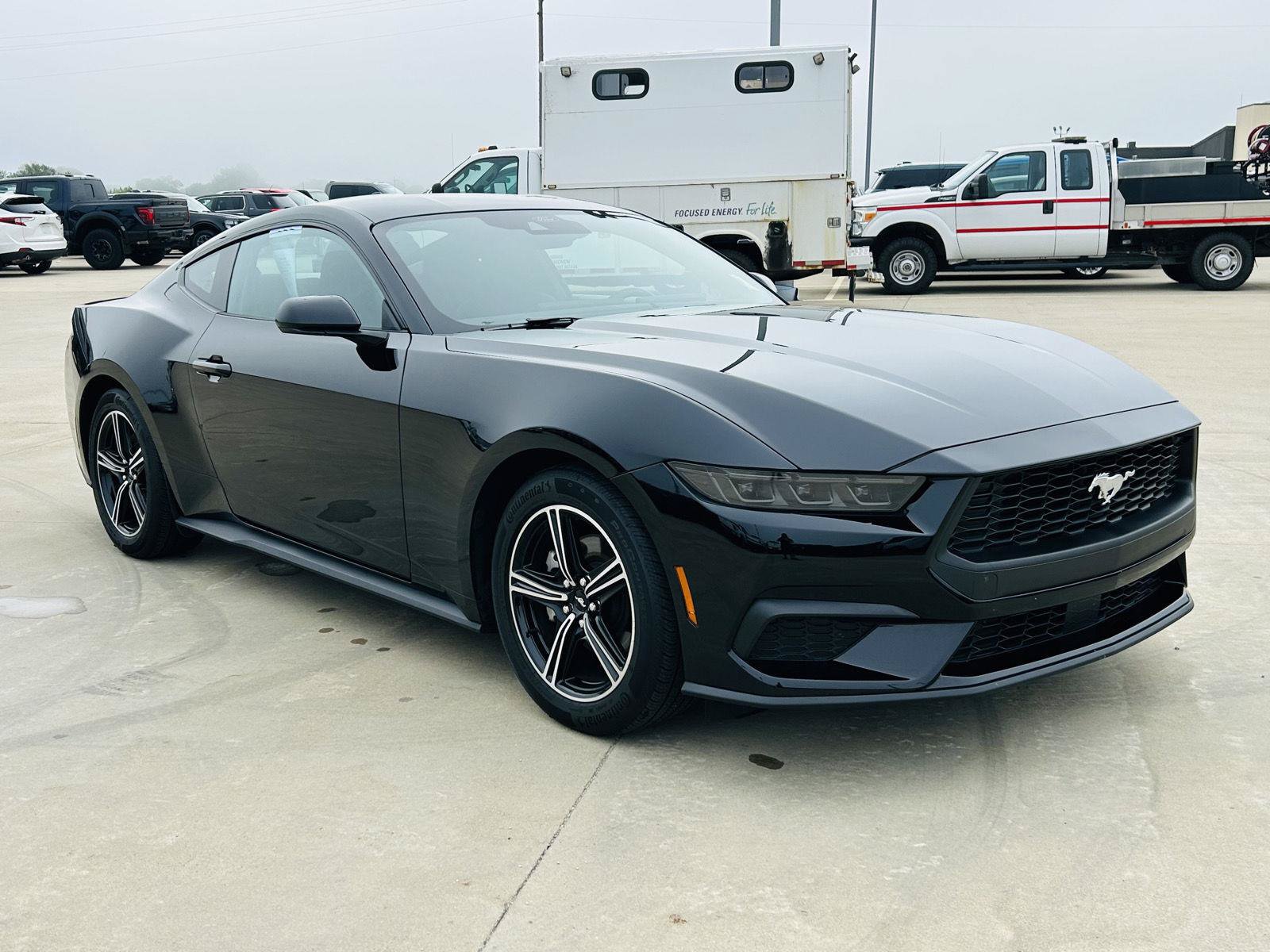 Used 2025 Ford Mustang Coupe RWD image 2