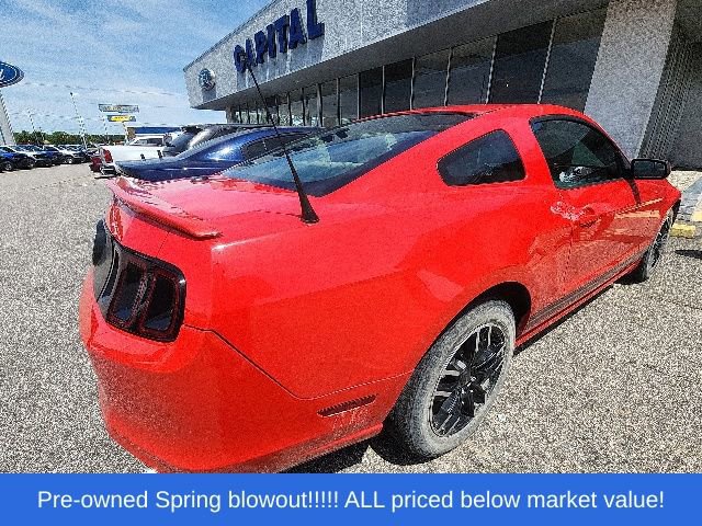 Used 2014 Ford Mustang Premium w/ Equipment Group 201A RWD image 6