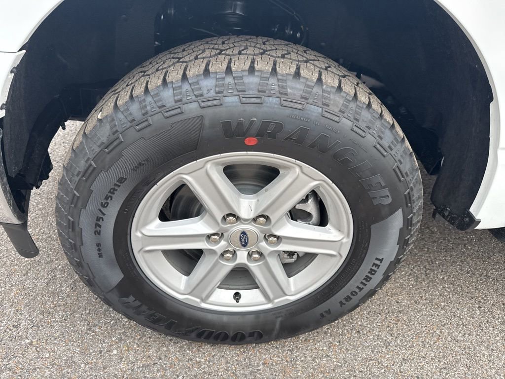 New 2026 Ford F150 XLT w/ Equipment Group 302A MID image 16