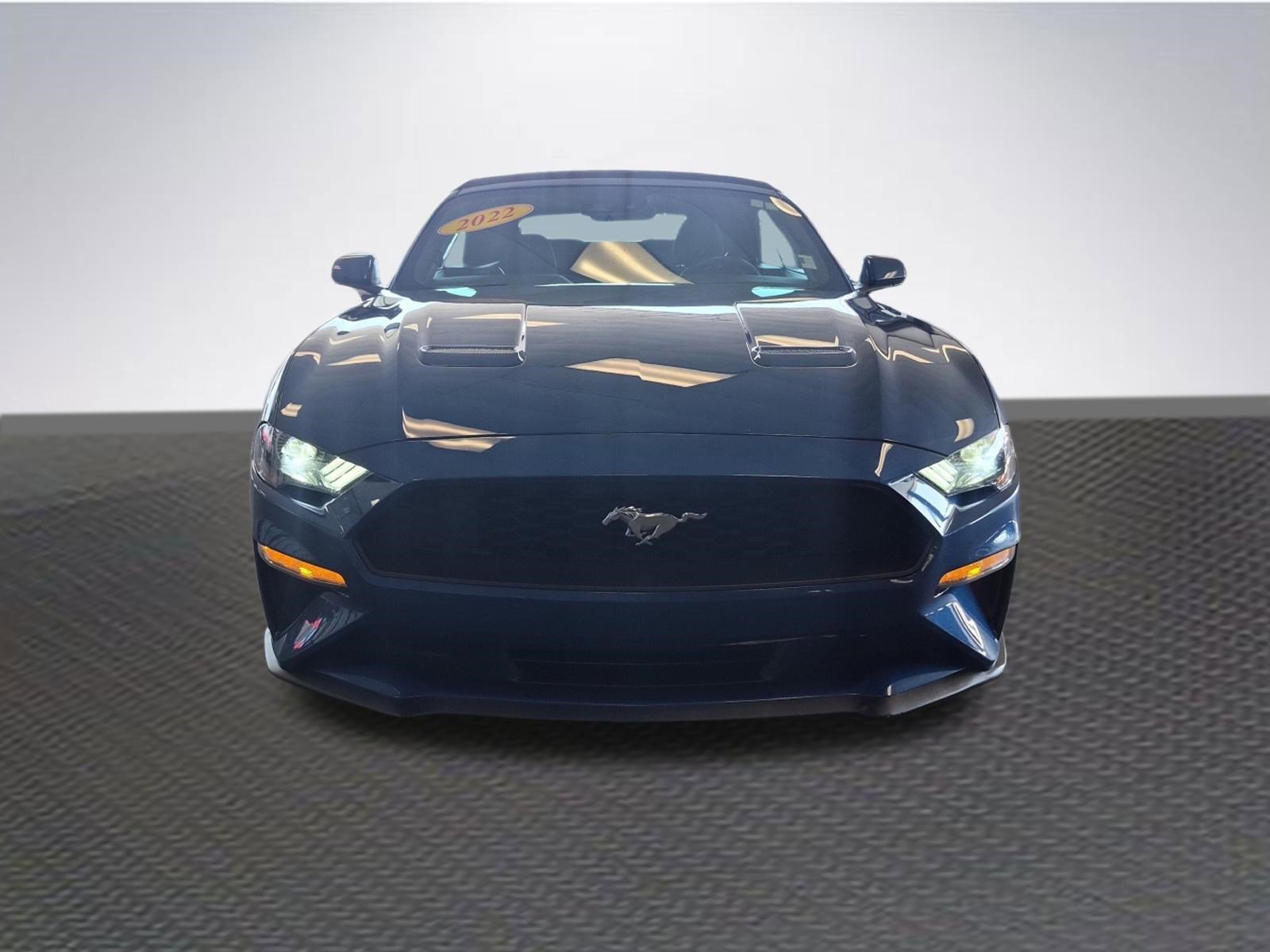 Used 2022 Ford Mustang EcoBoost image 3