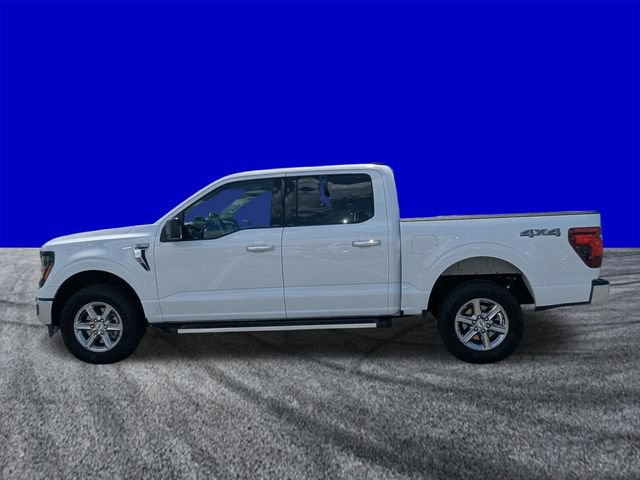 Used 2025 Ford F150 XLT w/ Equipment Group 301A Standard AWD/4WD image 6