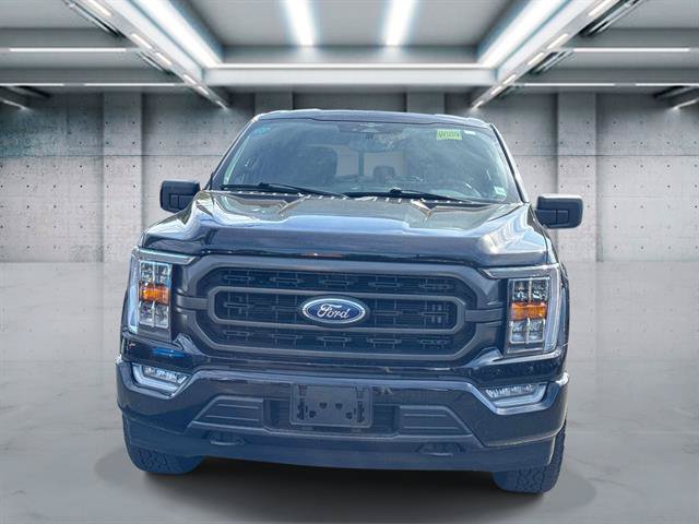 Used 2023 Ford F150 XLT w/ Equipment Group 302A High AWD/4WD image 2