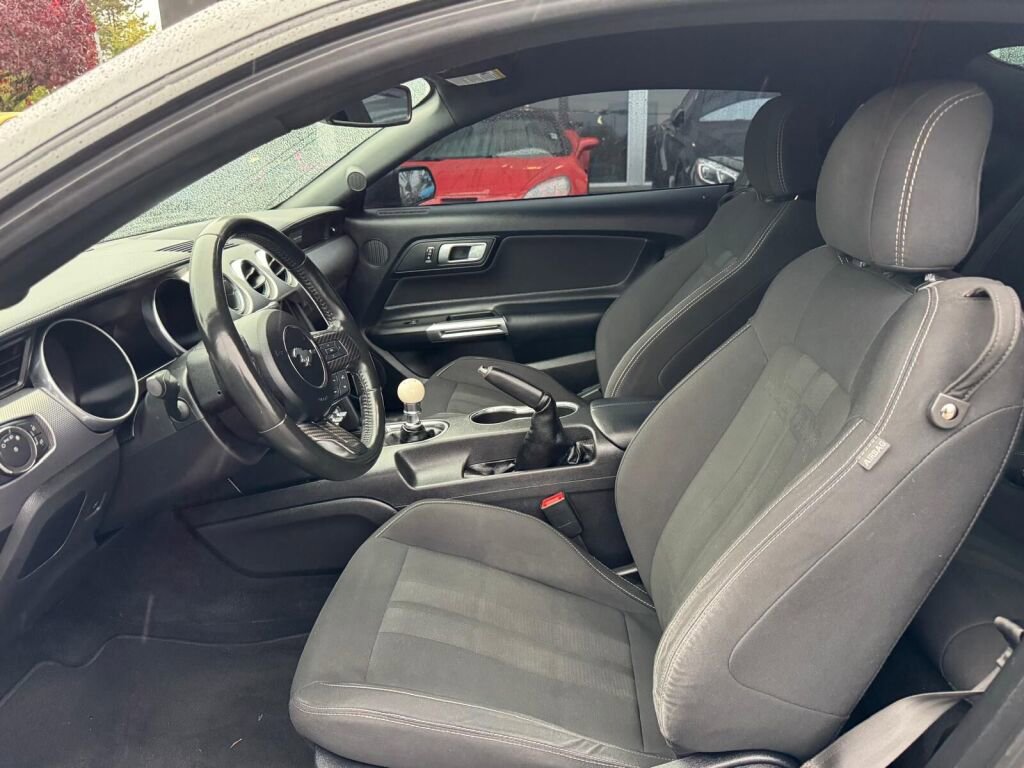 Used 2019 Ford Mustang GT w/ Equipment Group 301A image 8