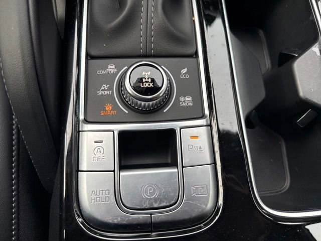 Certified 2025 Kia Telluride SX Prestige X-Line image 38