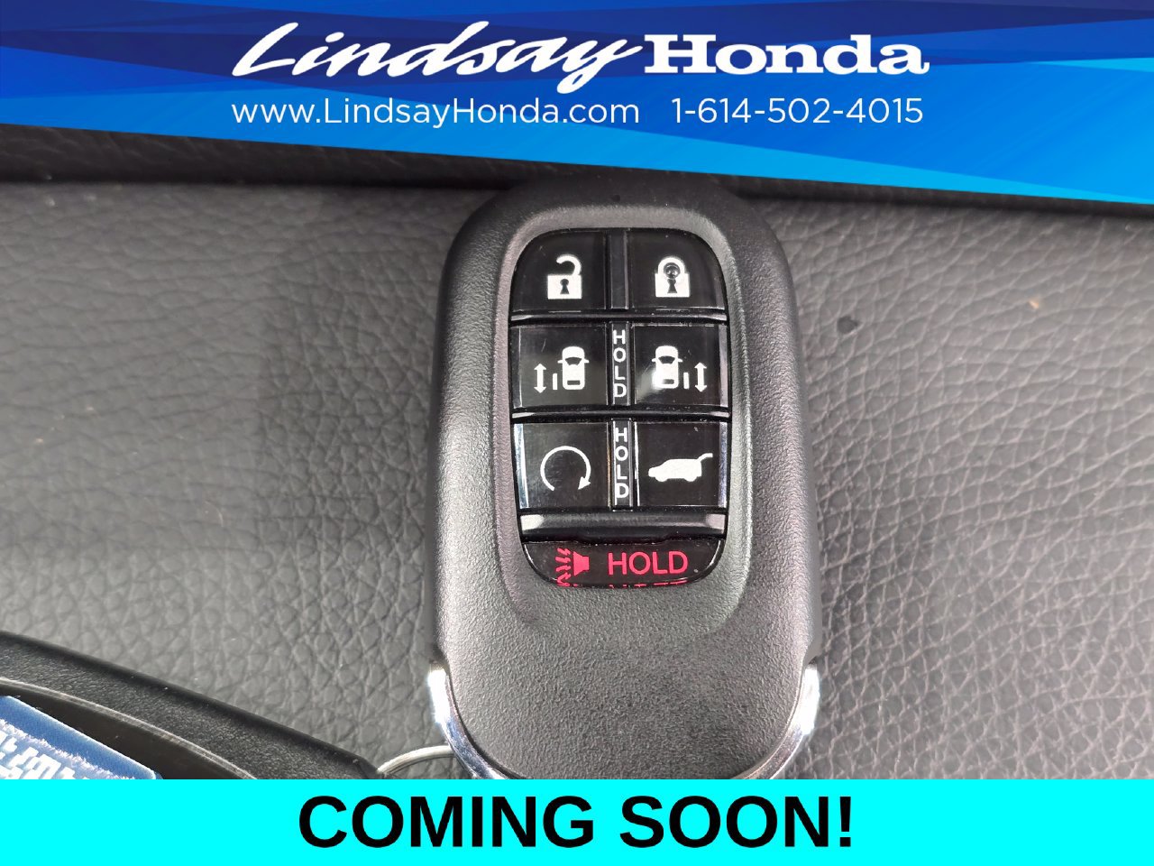 Used 2025 Honda Odyssey Elite image 24