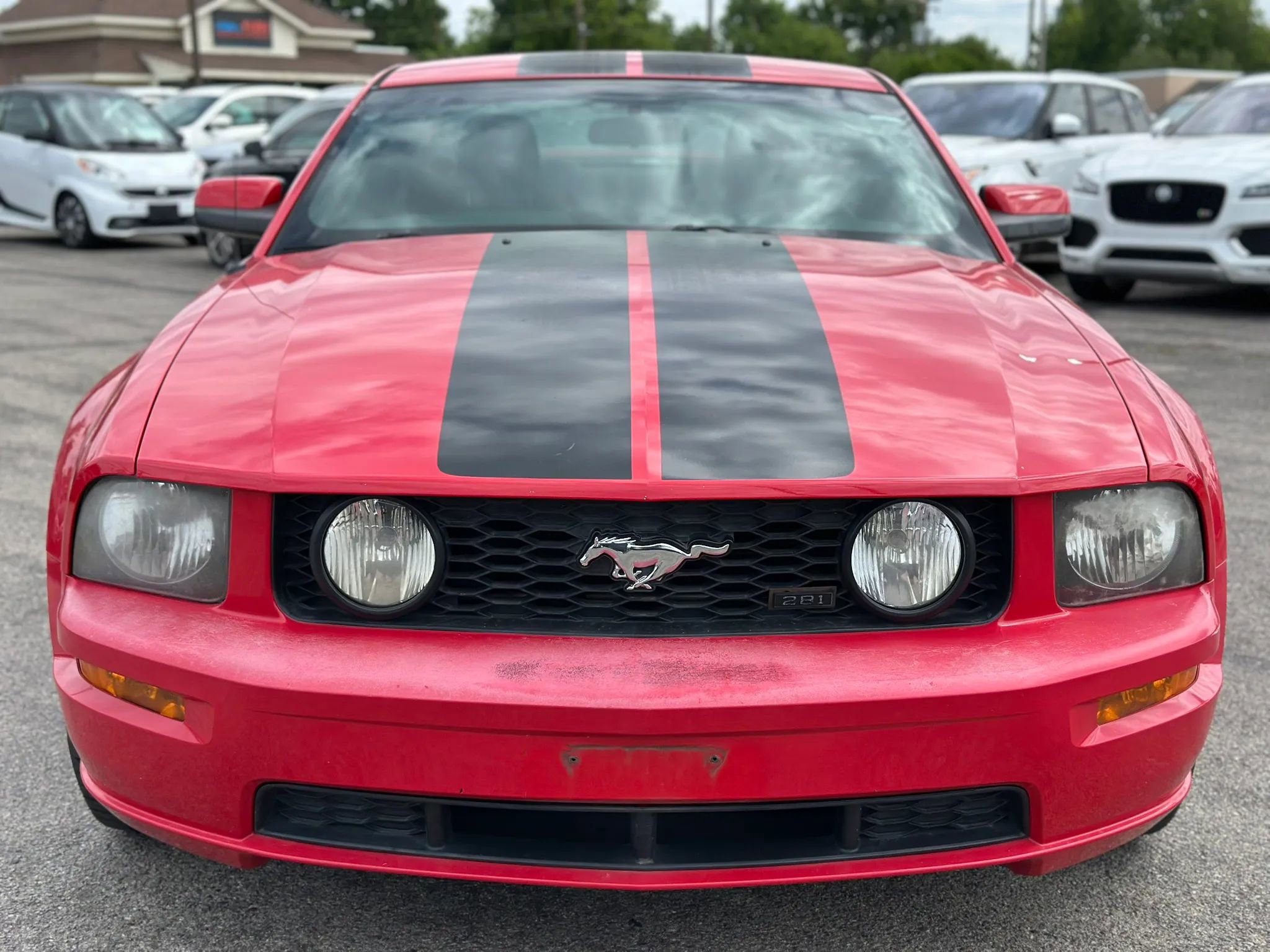 Used 2008 Ford Mustang GT RWD image 3