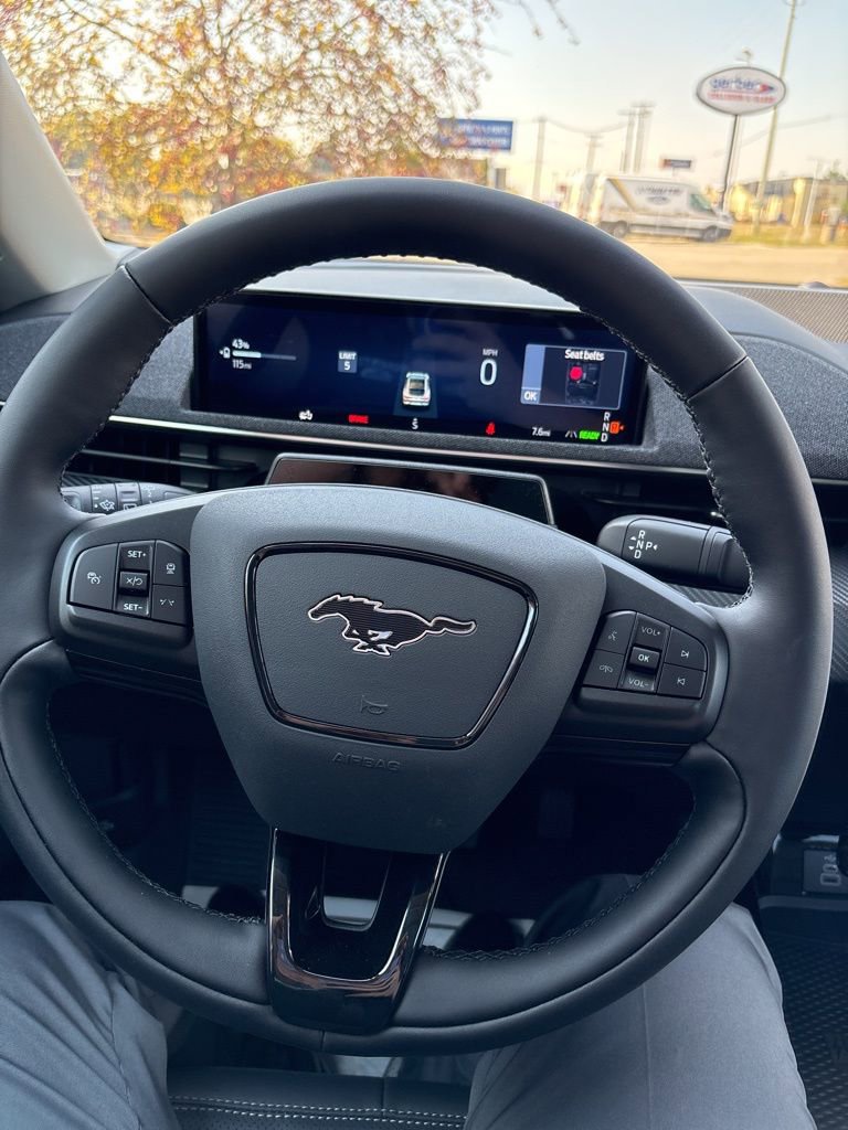 New 2025 Ford Mustang Mach-E Premium image 19