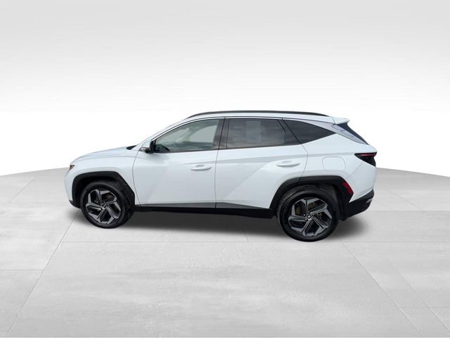 Used 2022 Hyundai Tucson Limited image 6