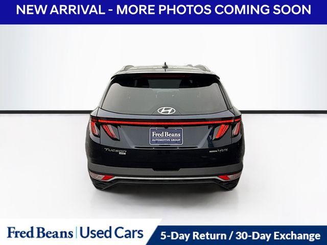Used 2023 Hyundai Tucson Blue image 6