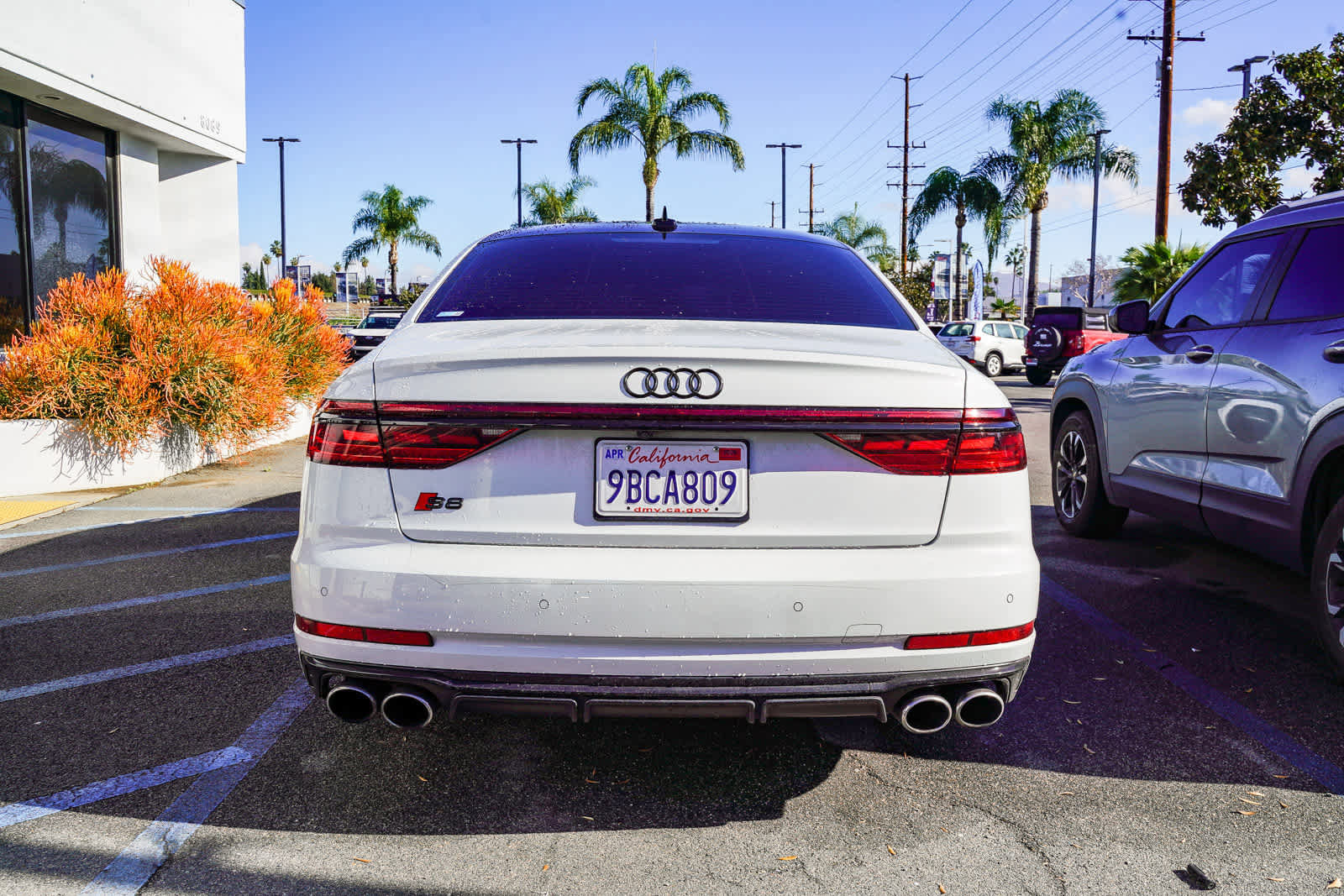 Used 2022 Audi S8 w/ S8 Comfort Plus Package image 16