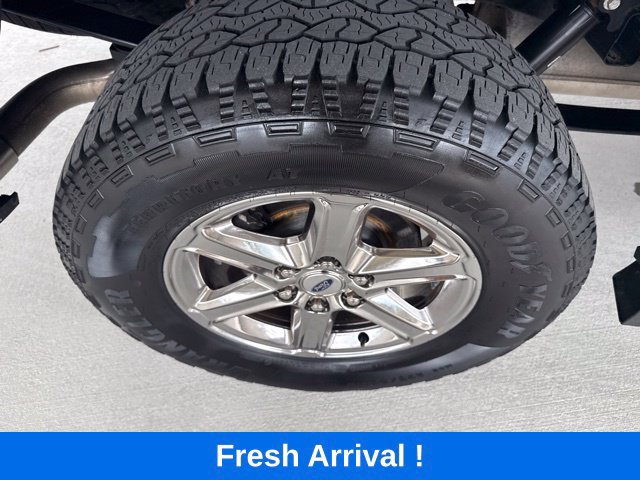 Used 2025 Ford F150 XLT w/ Equipment Group 301A Standard AWD/4WD image 22