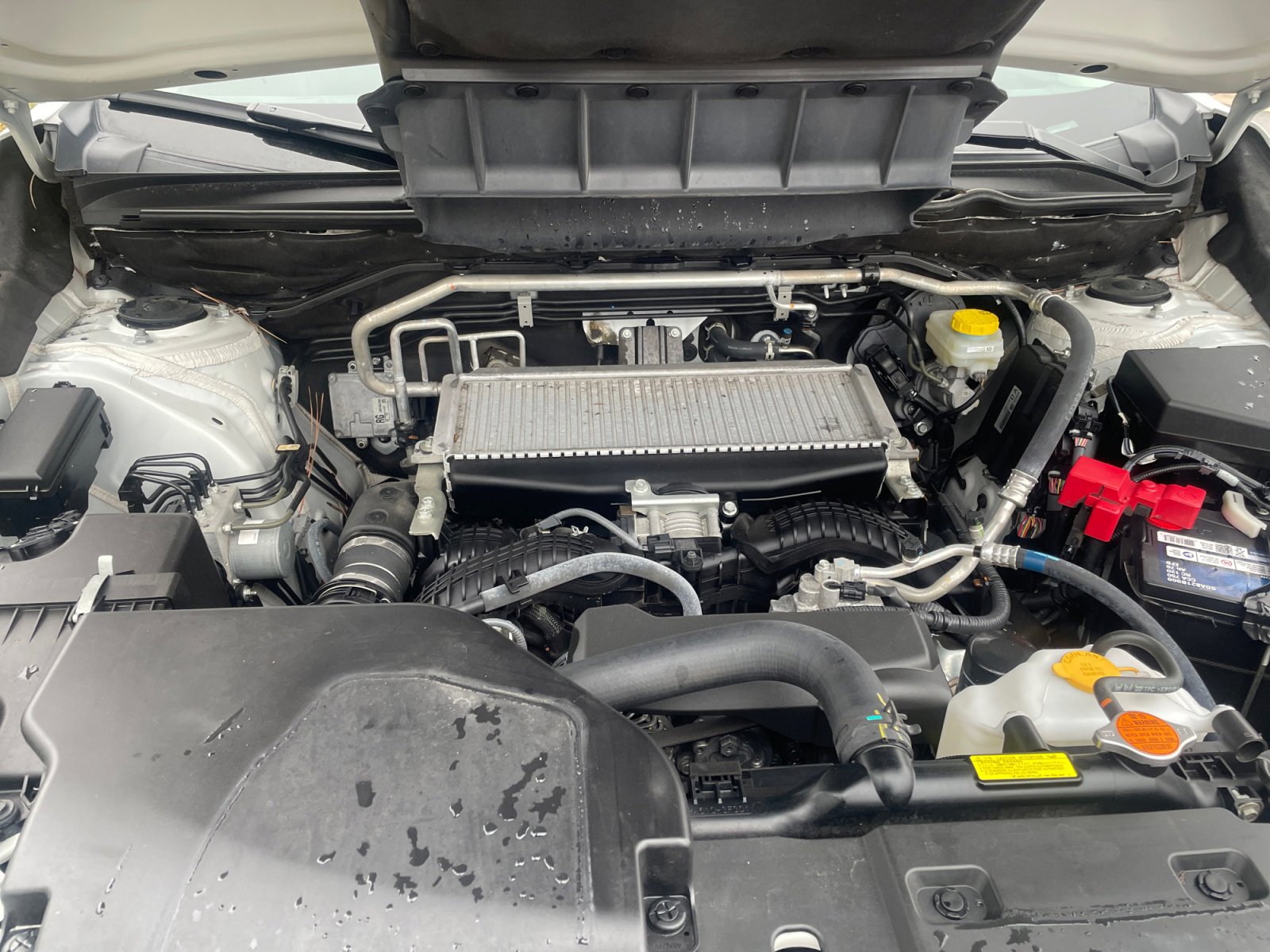 Used 2023 Subaru Ascent 8-Passenger image 6