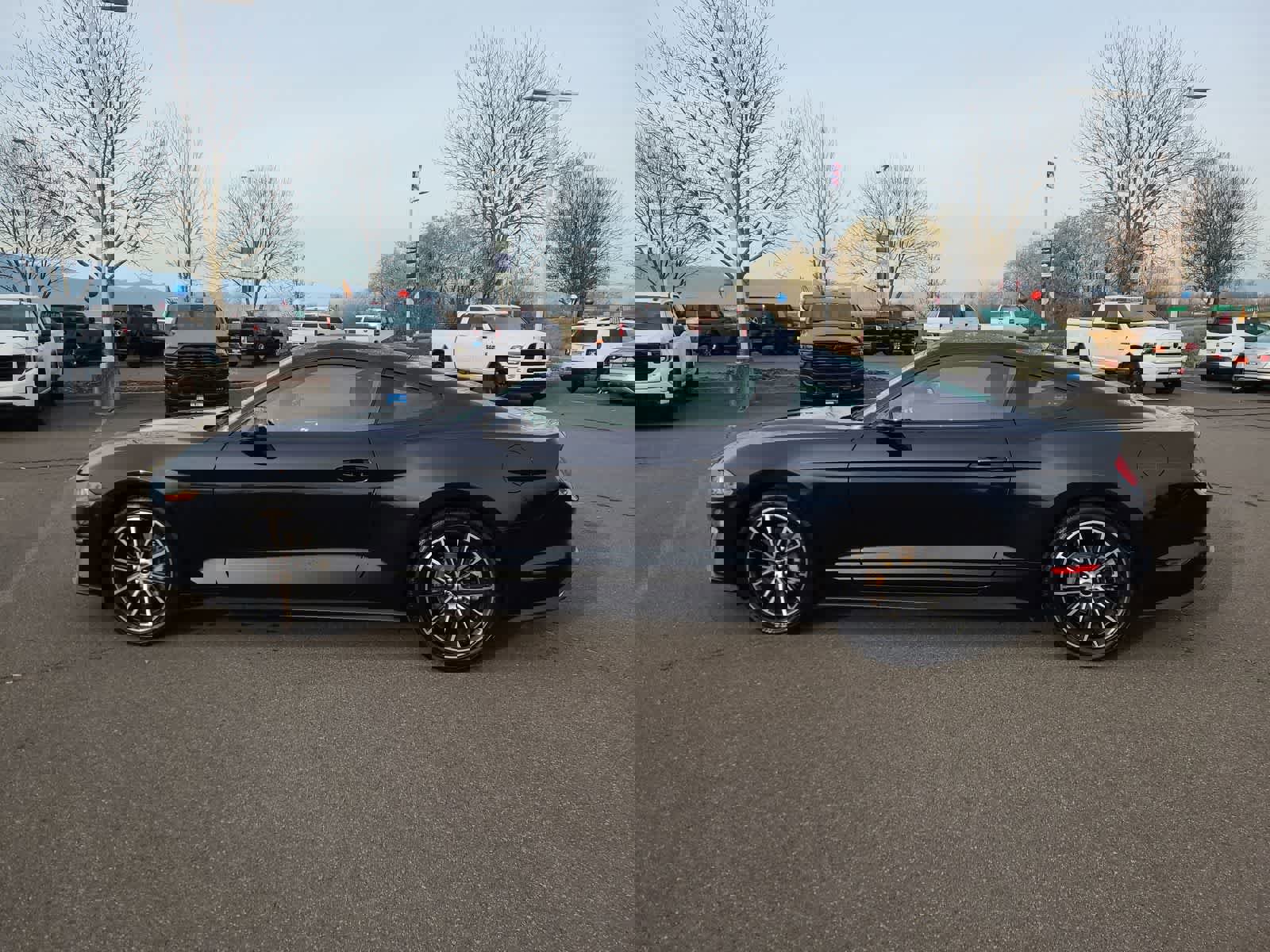 Used 2021 Ford Mustang Coupe w/ Equipment Group 101A image 11