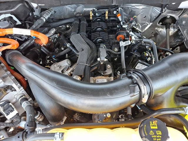 Used 2024 Ford F150 XLT w/ Equipment Group 302A MID image 27